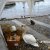 SALVATAGGIO PICCOLI DI CIGNO NEL PORTO A LAVENO